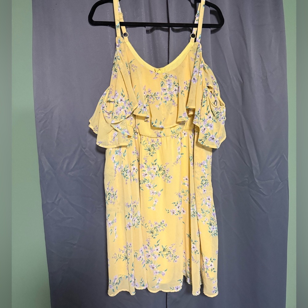 Women’s Plus Size Dress